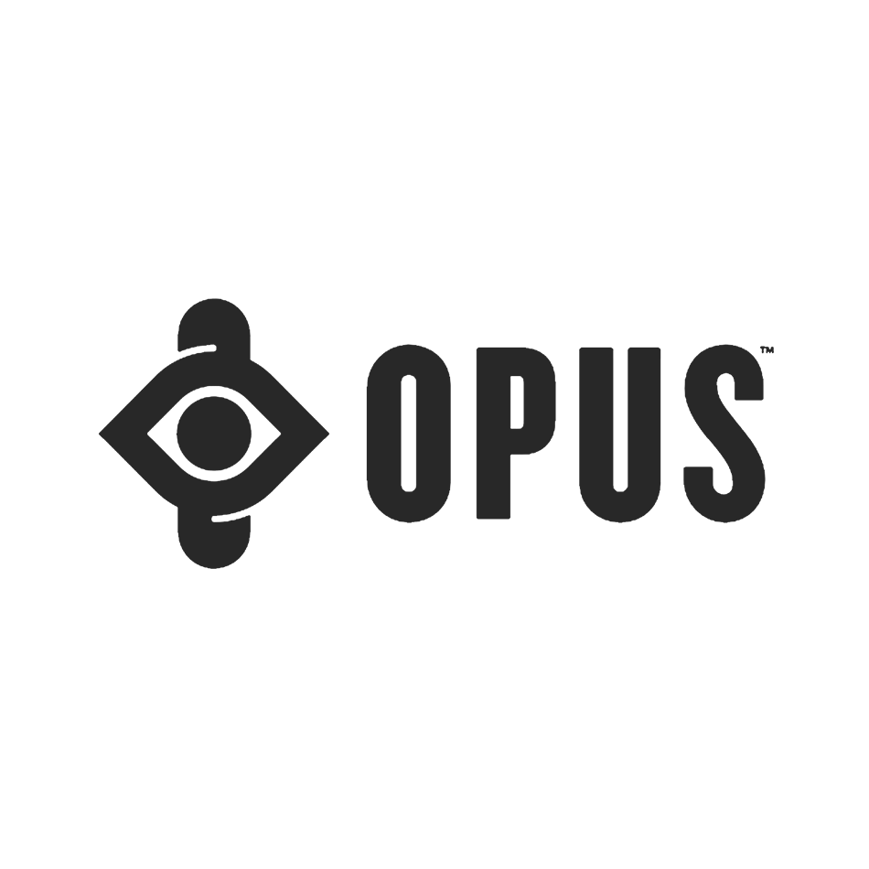 Opus Skate Shoes